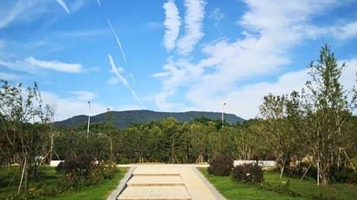 黄马生态湿地公园