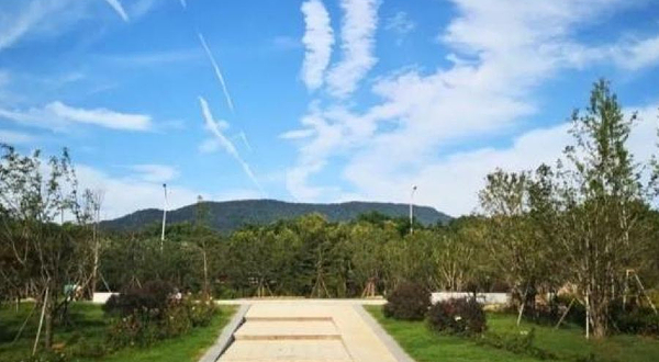 黄马生态湿地公园