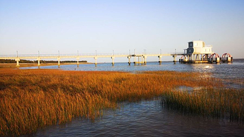 张网港西十一号丁坝