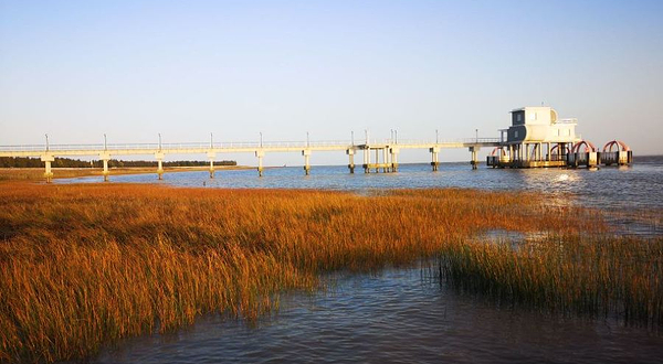 张网港西十一号丁坝