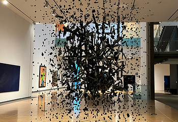 Phoenix Art Museum第 10 张图片