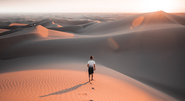 Imperial Sand Dunes