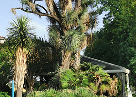 佛罗伦萨植物园