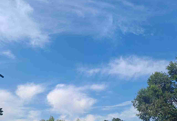 趵突泉景区第 281 张图片