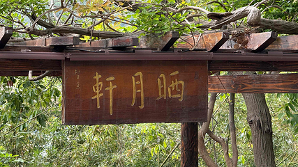 禅意小镇·拈花湾第 227 张图片