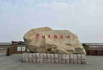 东滩湿地公园第 48 张图片