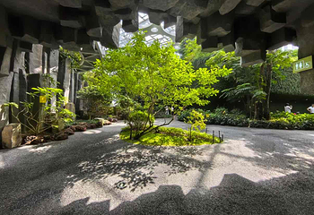 上海温室花园第 70 张图片