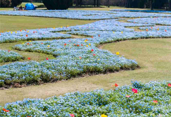 上海辰山植物园第 52 张图片