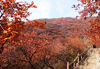 坡峰岭第 32 张图片