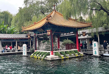 趵突泉景区第 84 张图片