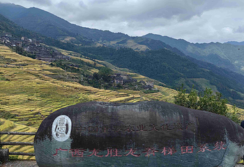 龙脊梯田第 147 张图片