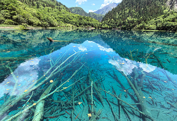 九寨沟风景区第 83 张图片
