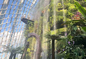 新加坡滨海湾花园第 214 张图片