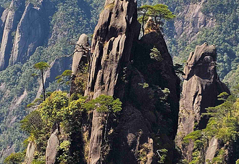 三清山风景区第 207 张图片