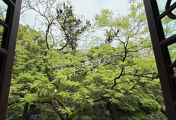 南湖景区第 117 张图片