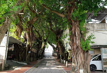 路环岛第 94 张图片