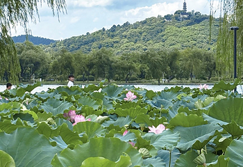 石湖景区第 112 张图片