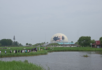扎龙生态旅游区第 82 张图片