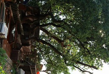古堰画乡旅游度假区第 80 张图片