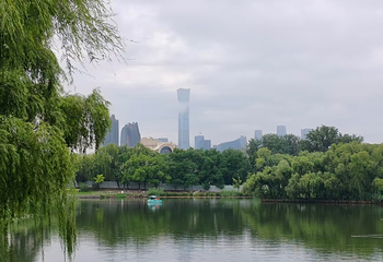 朝阳公园第 182 张图片