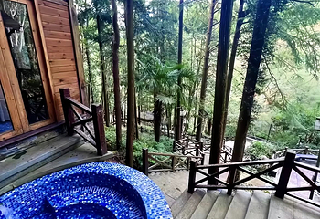 宁海森林温泉第 19 张图片