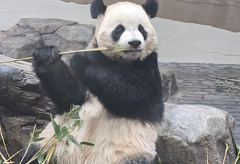 爱宝乐园第 134 张图片