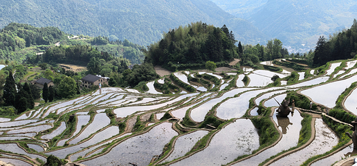 云和梯田景区第 69 张图片