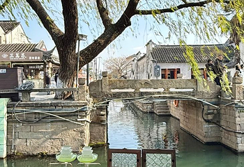 李百蟹·蟹黄面(观前街店)第 17 张图片