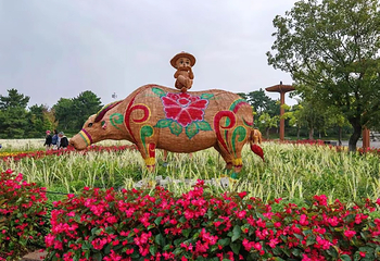 北京世园国际旅游度假区第 57 张图片