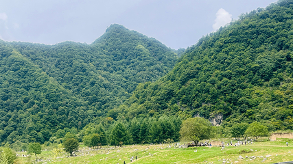 紫柏山国家森林公园第 20 张图片