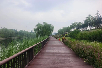 北京(通州)大运河文化旅游景区第 51 张图片