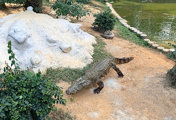 南宁动物园第 46 张图片