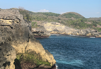 佩妮达岛第 200 张图片