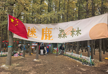 哈达门国家森林公园第 83 张图片