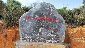 张顺高茶业微博馆