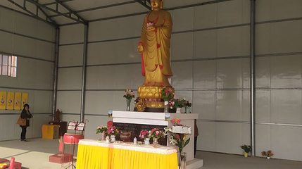 新蔡铁佛寺第 1 张图片