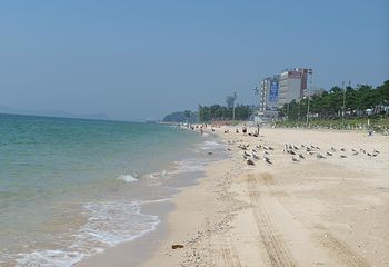 大川海水浴场第 10 张图片