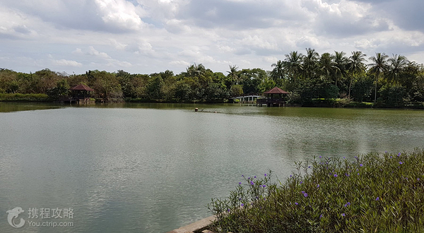 曼谷之肺森林公园和植物园