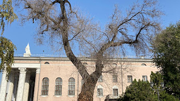 Monument to Toktogul Satylganov