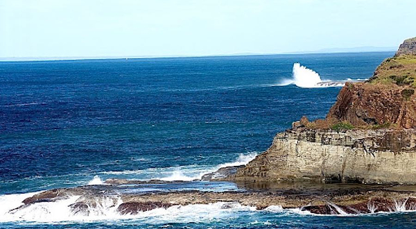 Kiama Coast Walk Picnic Area and Lookout