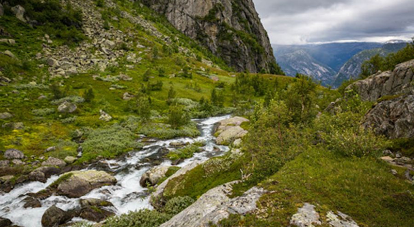 福尔格国家公园