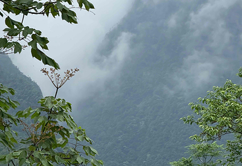 宜春明月山旅游区第 98 张图片
