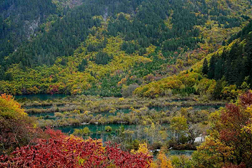 九寨沟风景区第 510 张图片