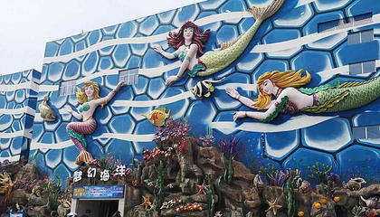 华夏文旅海洋公园第 65 张图片