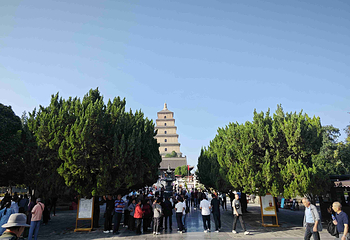 大雁塔第 46 张图片