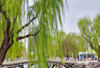 兴庆宫公园第 93 张图片