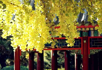 中山公园第 51 张图片