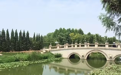西安世博园第 166 张图片