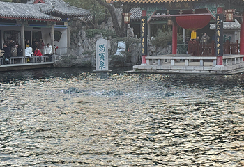 趵突泉景区第 196 张图片