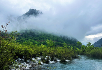 九寨沟风景区第 289 张图片